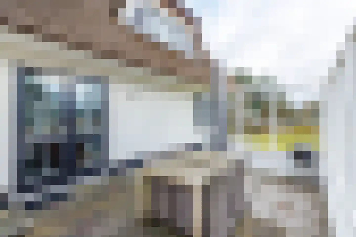 Bliekeduun 28 Hollum thumbnail 52
