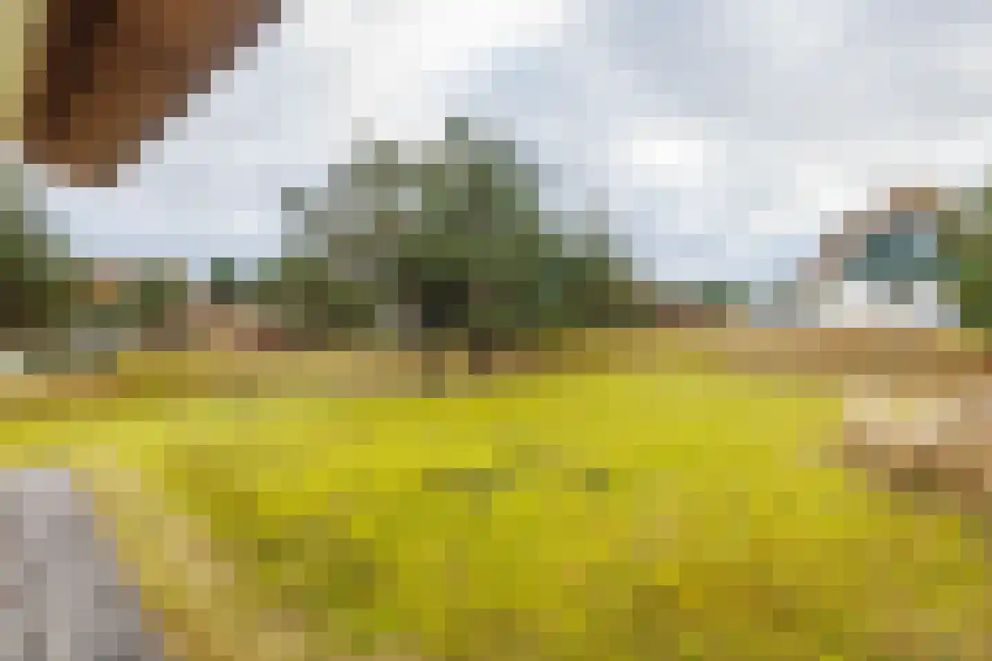 Bliekeduun 28 Hollum thumbnail 53