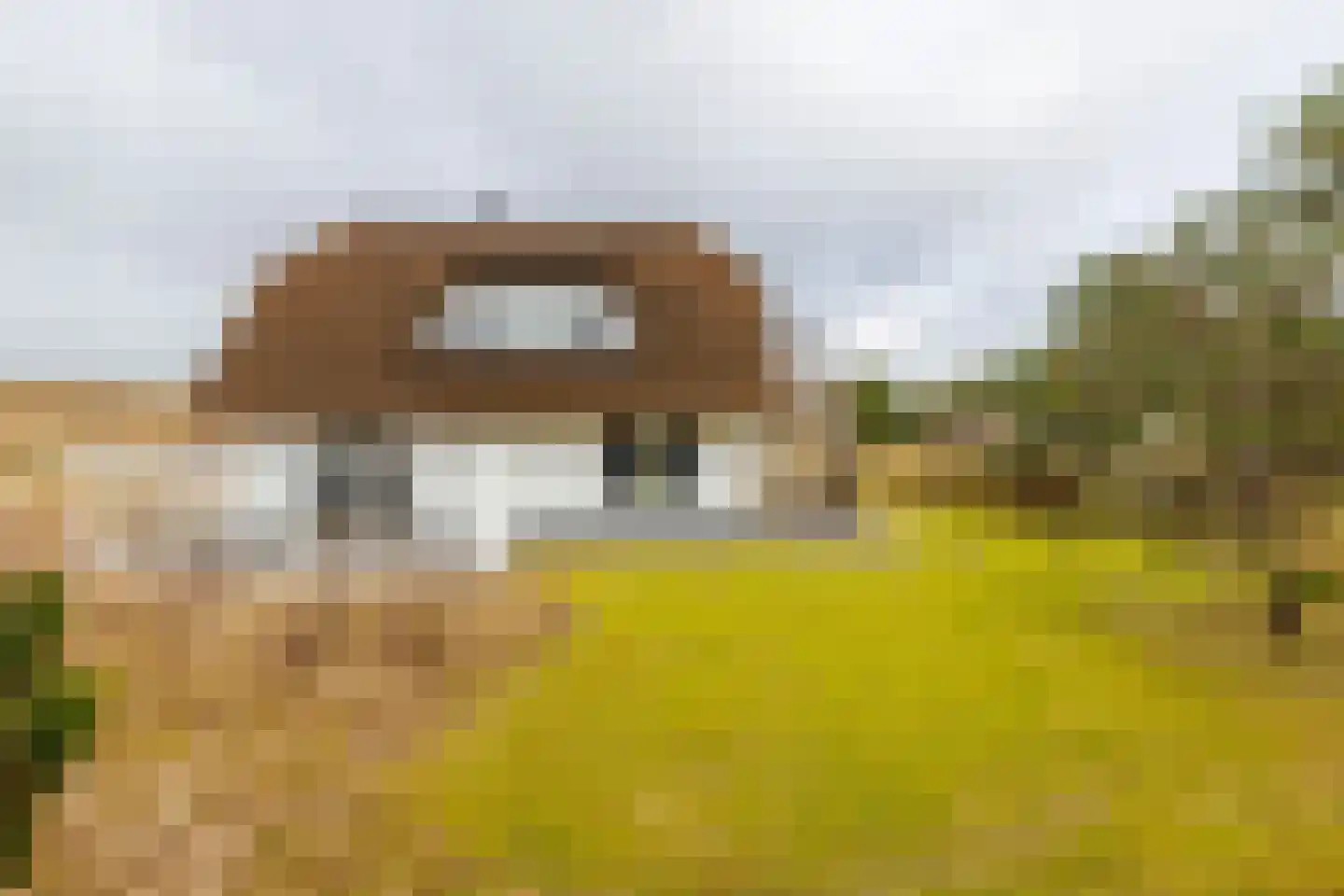 Bliekeduun 28 Hollum thumbnail 54