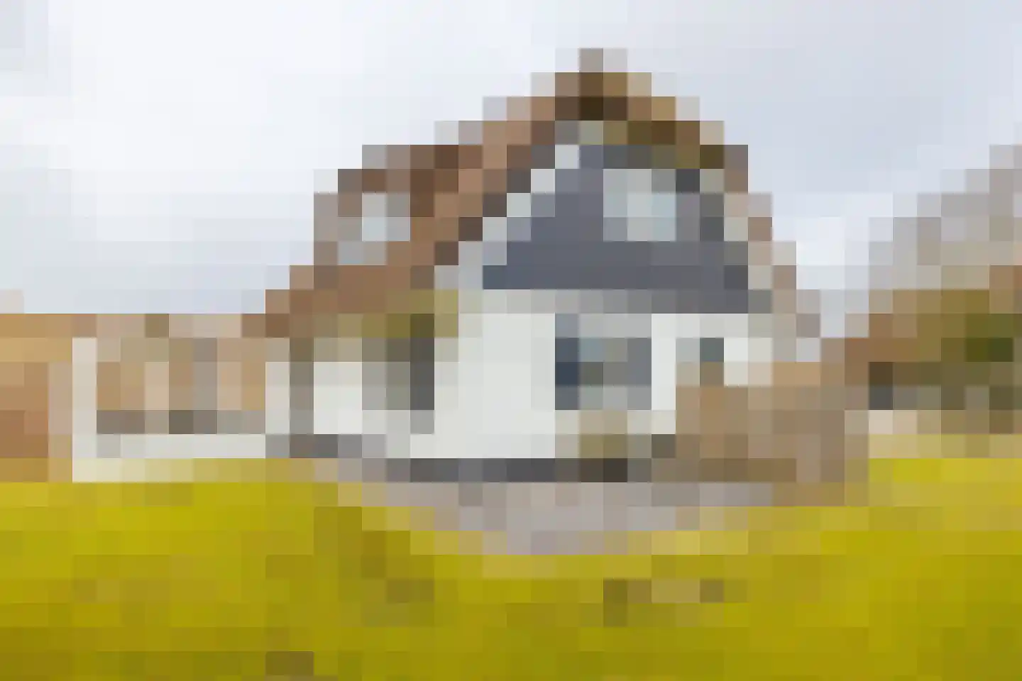 Bliekeduun 28 Hollum thumbnail 55