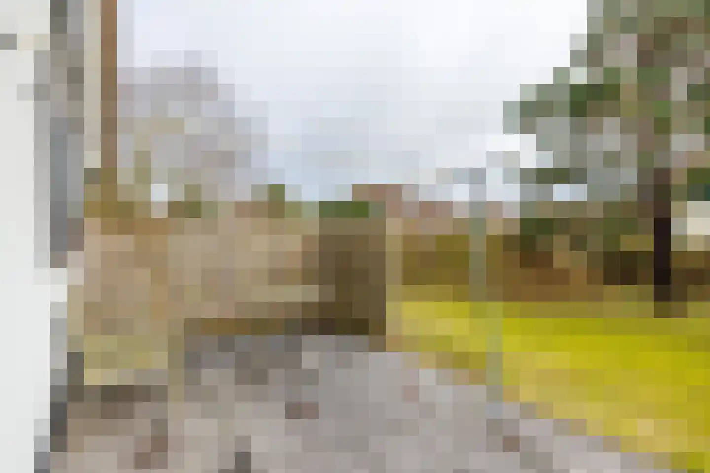 Bliekeduun 28 Hollum thumbnail 57