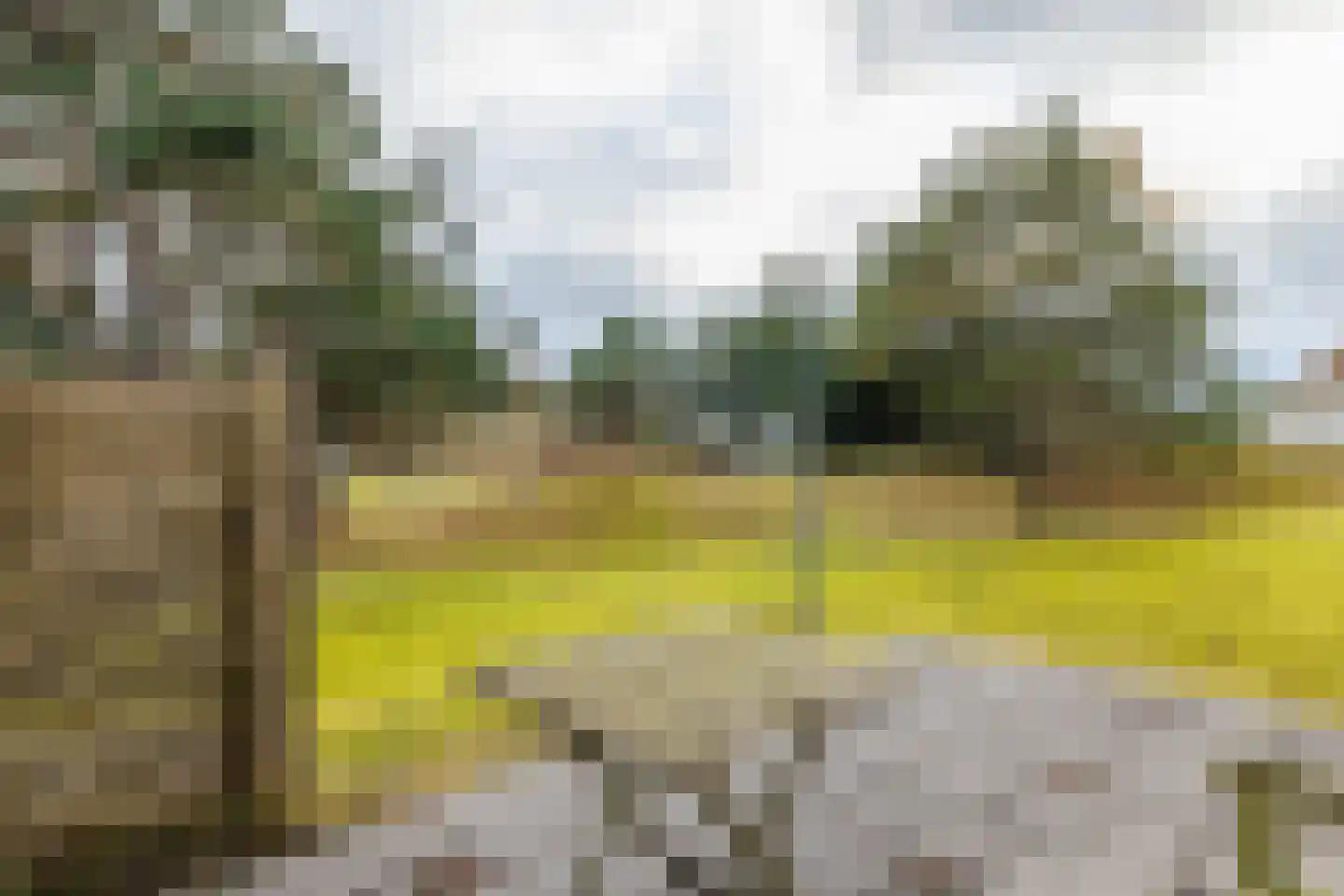 Bliekeduun 28 Hollum thumbnail 58
