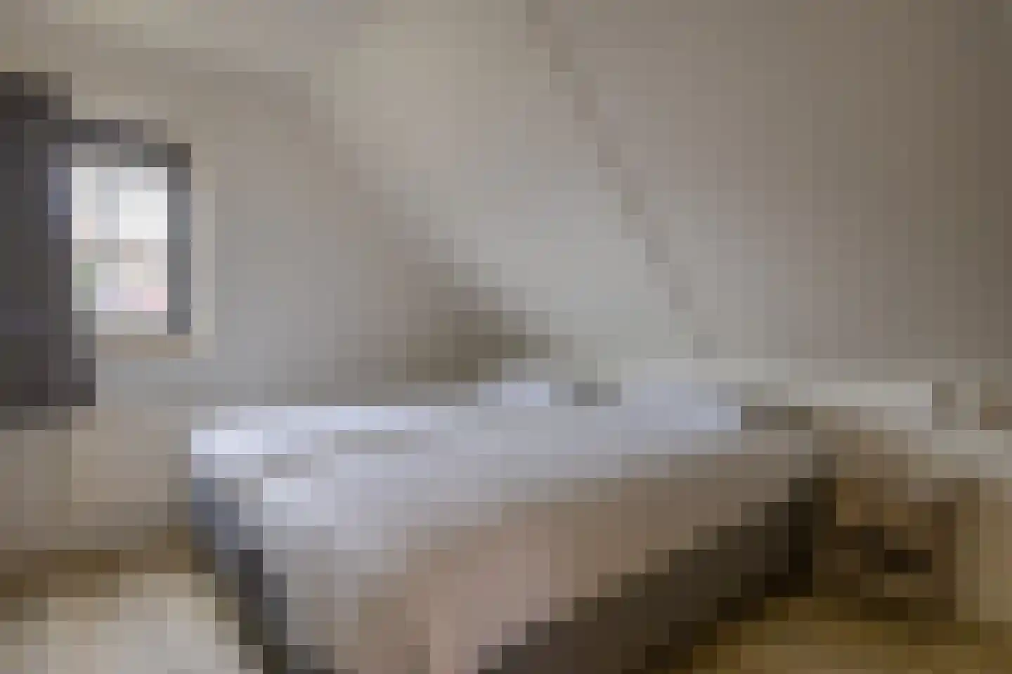 Bliekeduun 40 Hollum thumbnail 14
