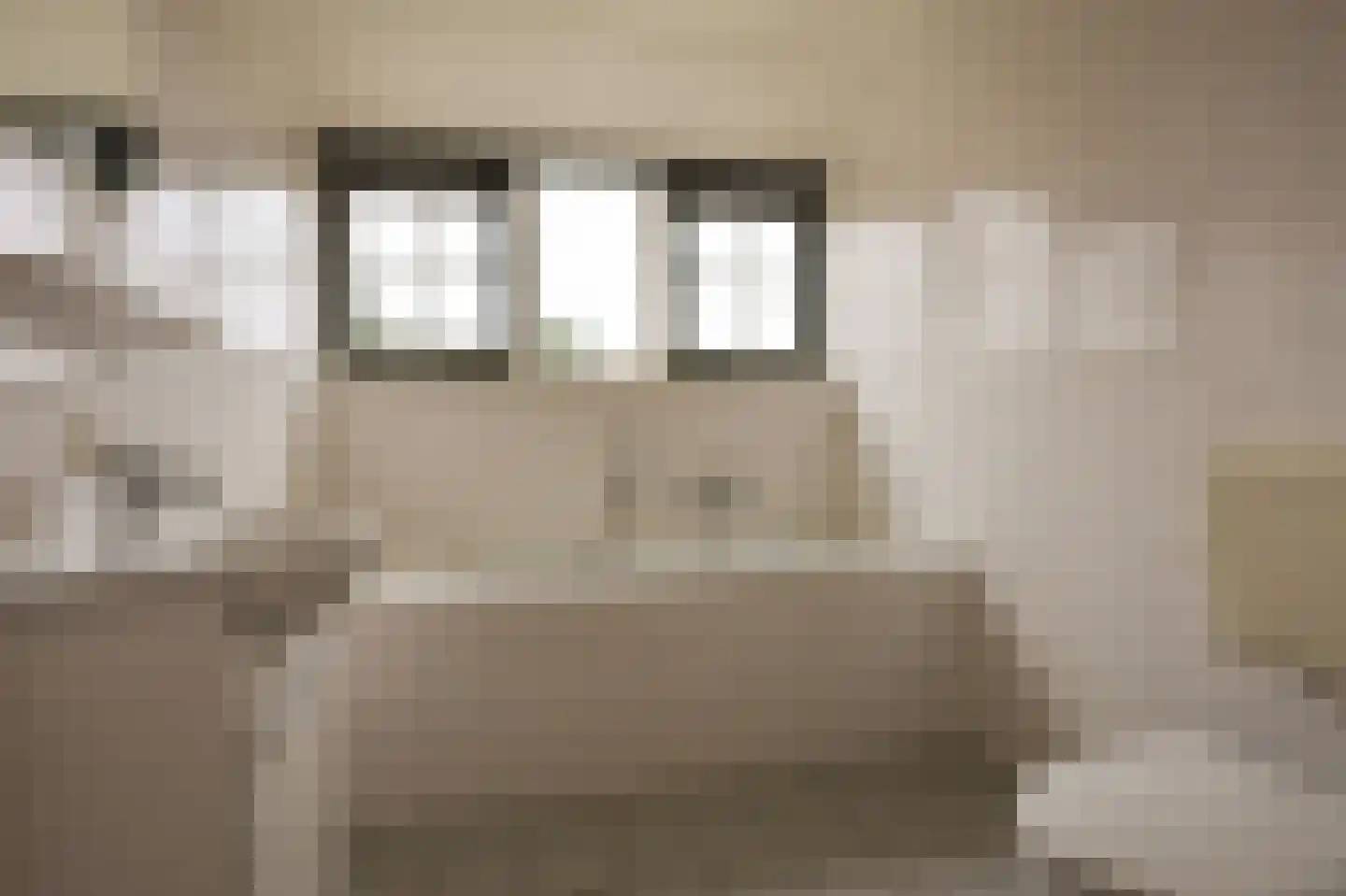Bliekeduun 40 Hollum thumbnail 15