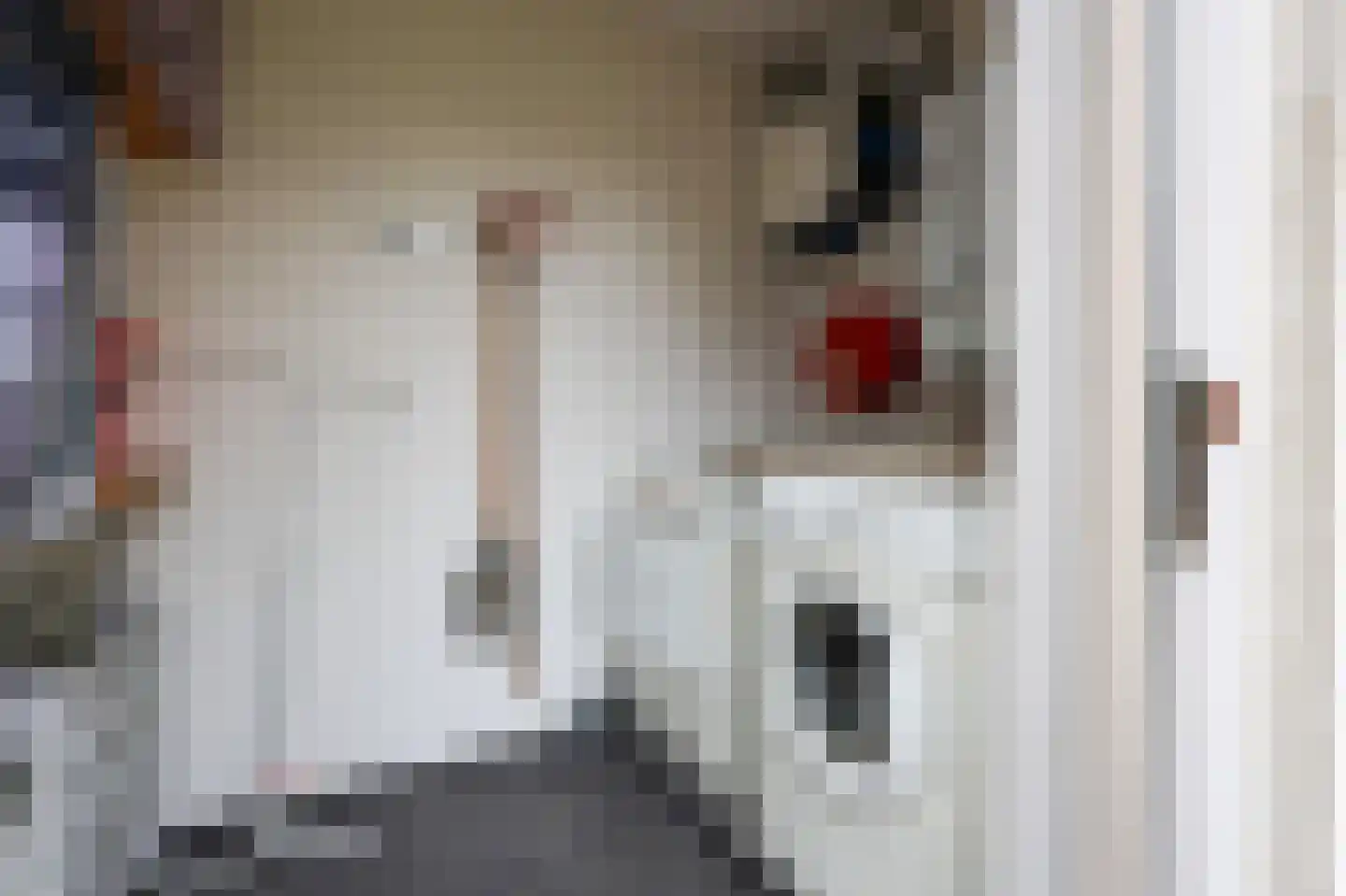 Bliekeduun 40 Hollum thumbnail 16