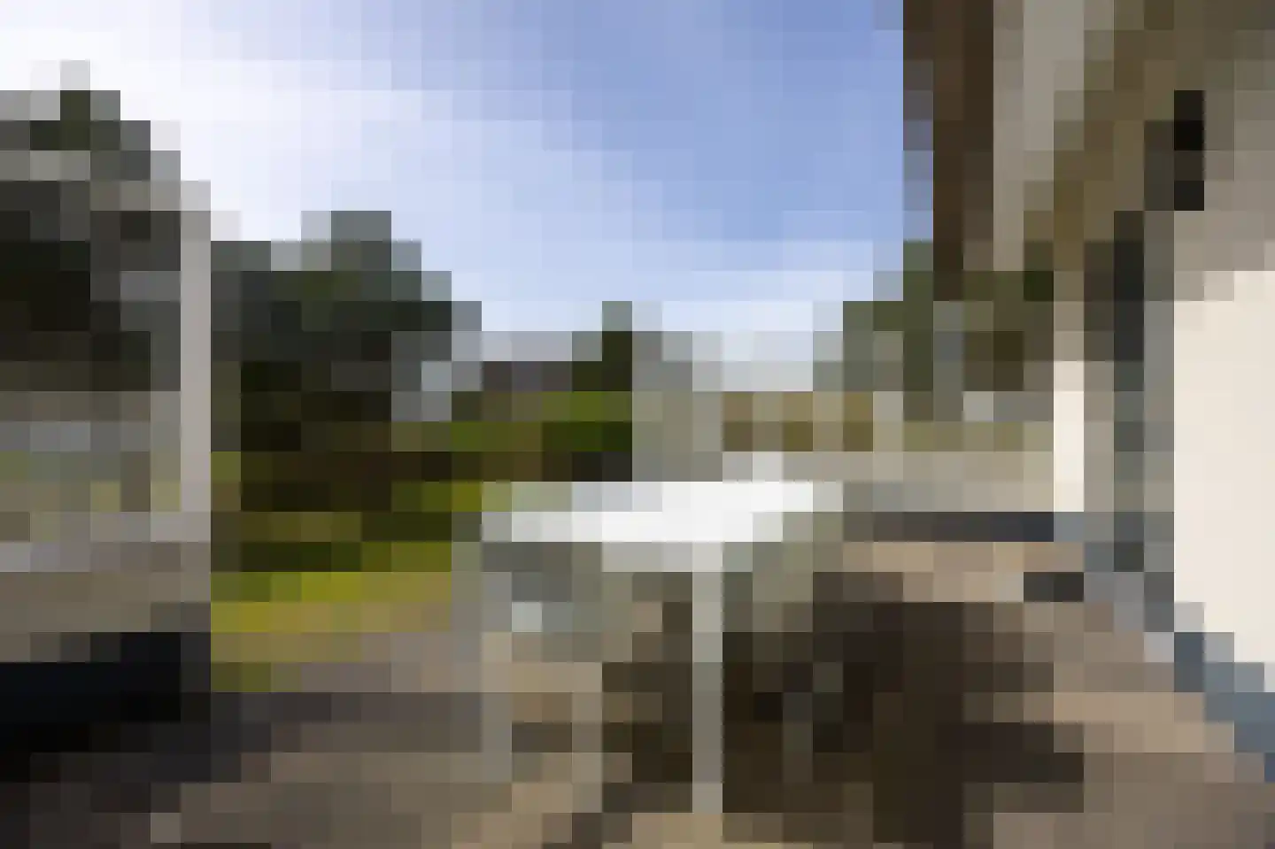 Bliekeduun 40 Hollum thumbnail 18