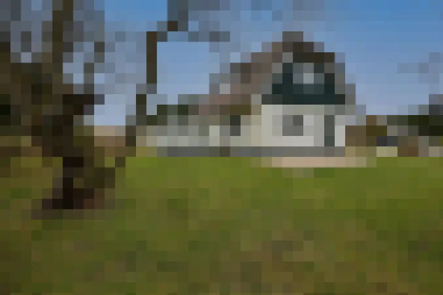 Bliekeduun 40 Hollum thumbnail 20