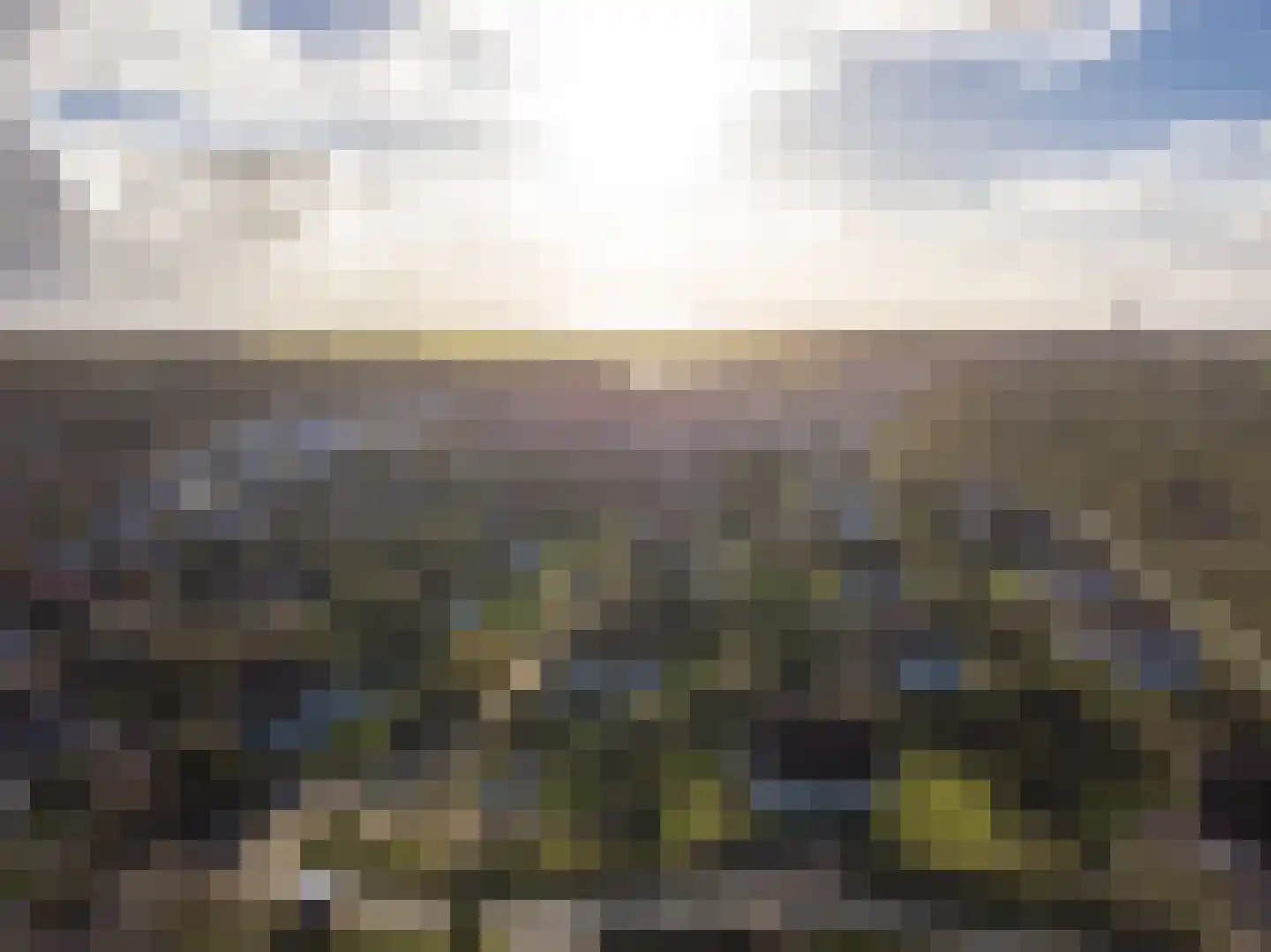 Bliekeduun 40 Hollum thumbnail 22