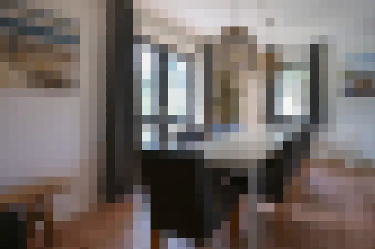 Bliekeduun 40 Hollum thumbnail 5