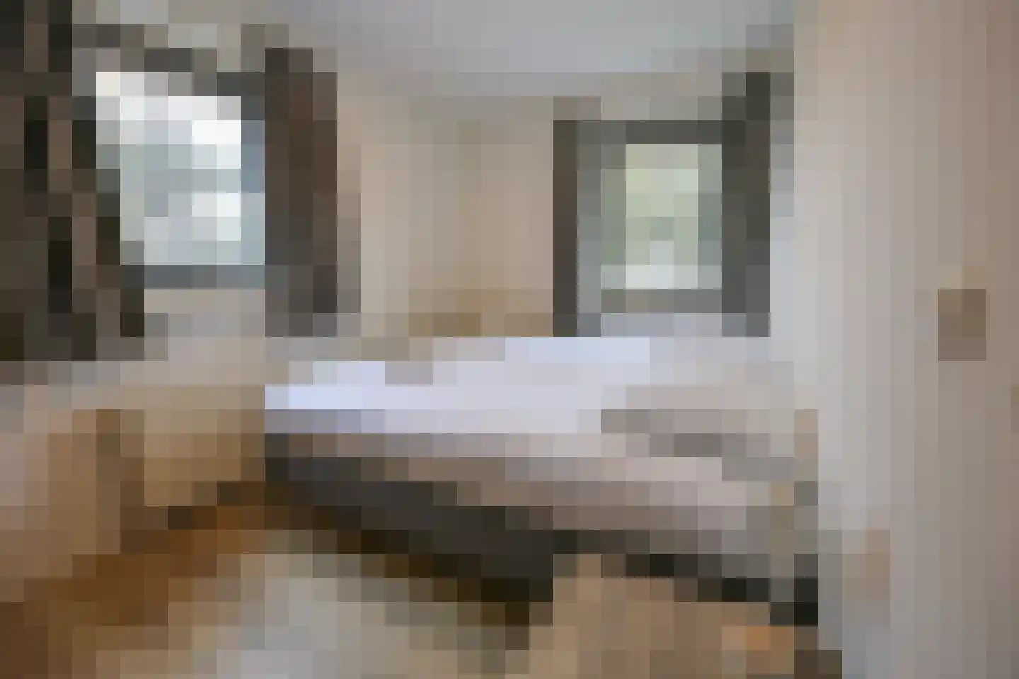 Bliekeduun 40 Hollum thumbnail 8