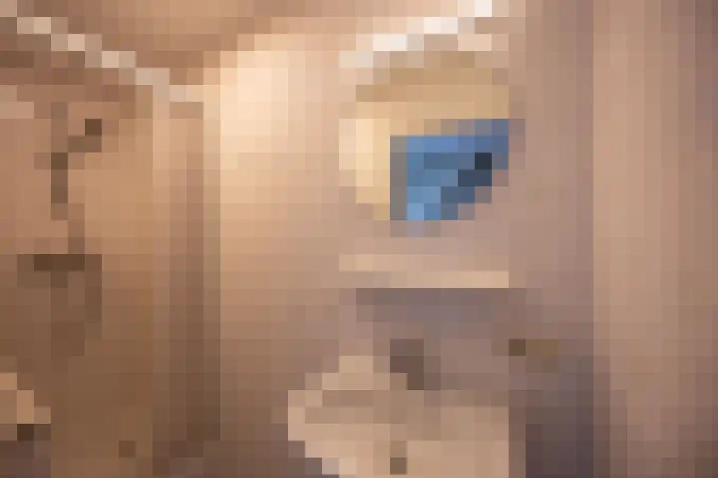 Bliekeduun 40 Hollum thumbnail 9