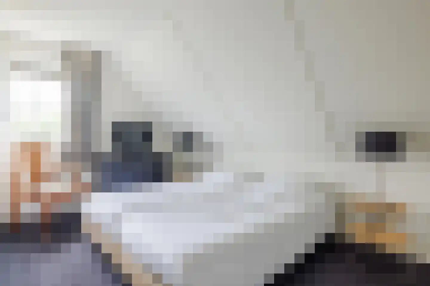 Bliekeduun 7 Hollum thumbnail 25