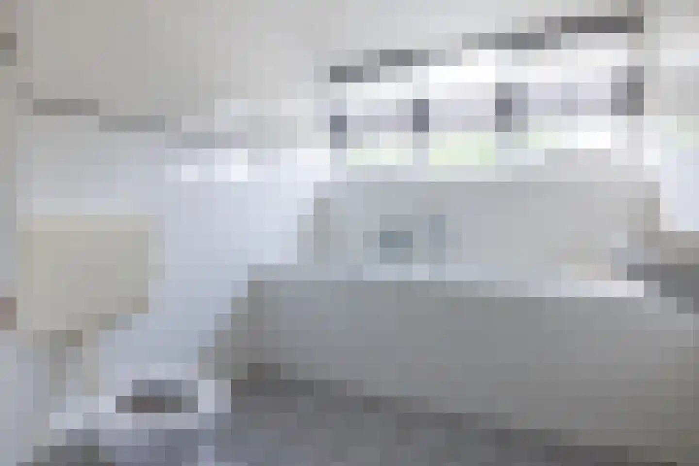Bliekeduun 7 Hollum thumbnail 26