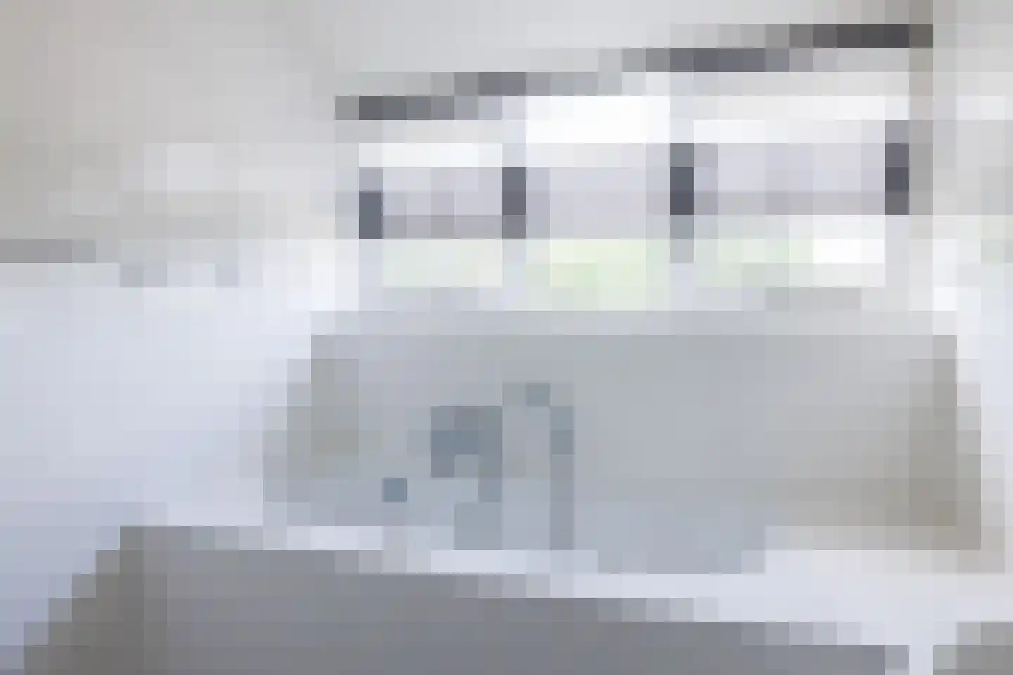 Bliekeduun 7 Hollum thumbnail 28