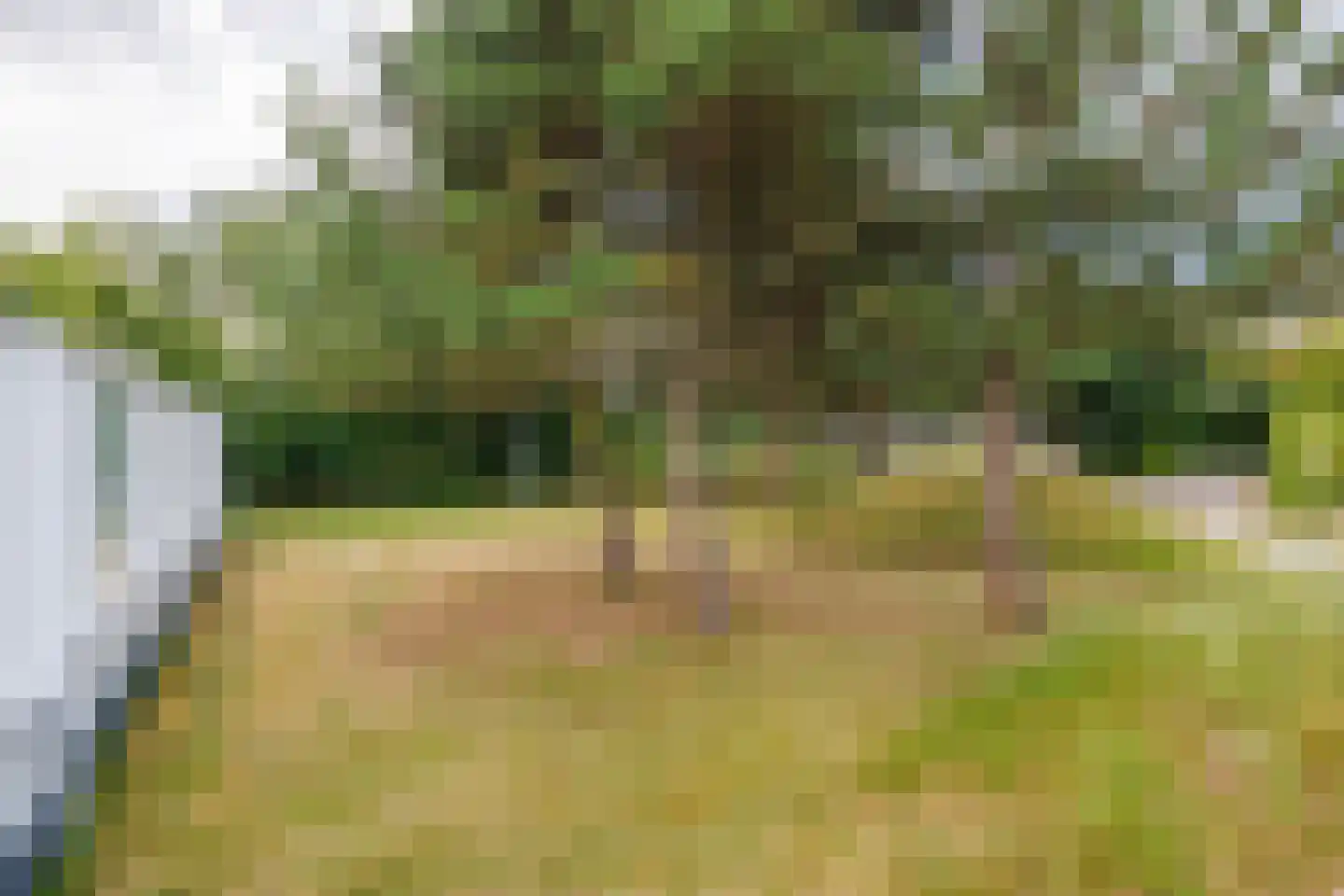 Bliekeduun 7 Hollum thumbnail 37