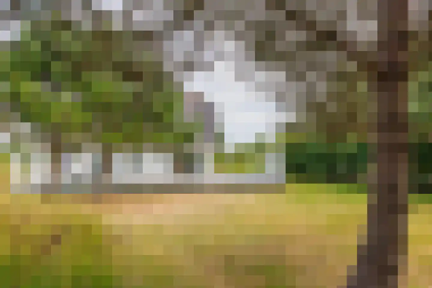 Bliekeduun 7 Hollum thumbnail 41