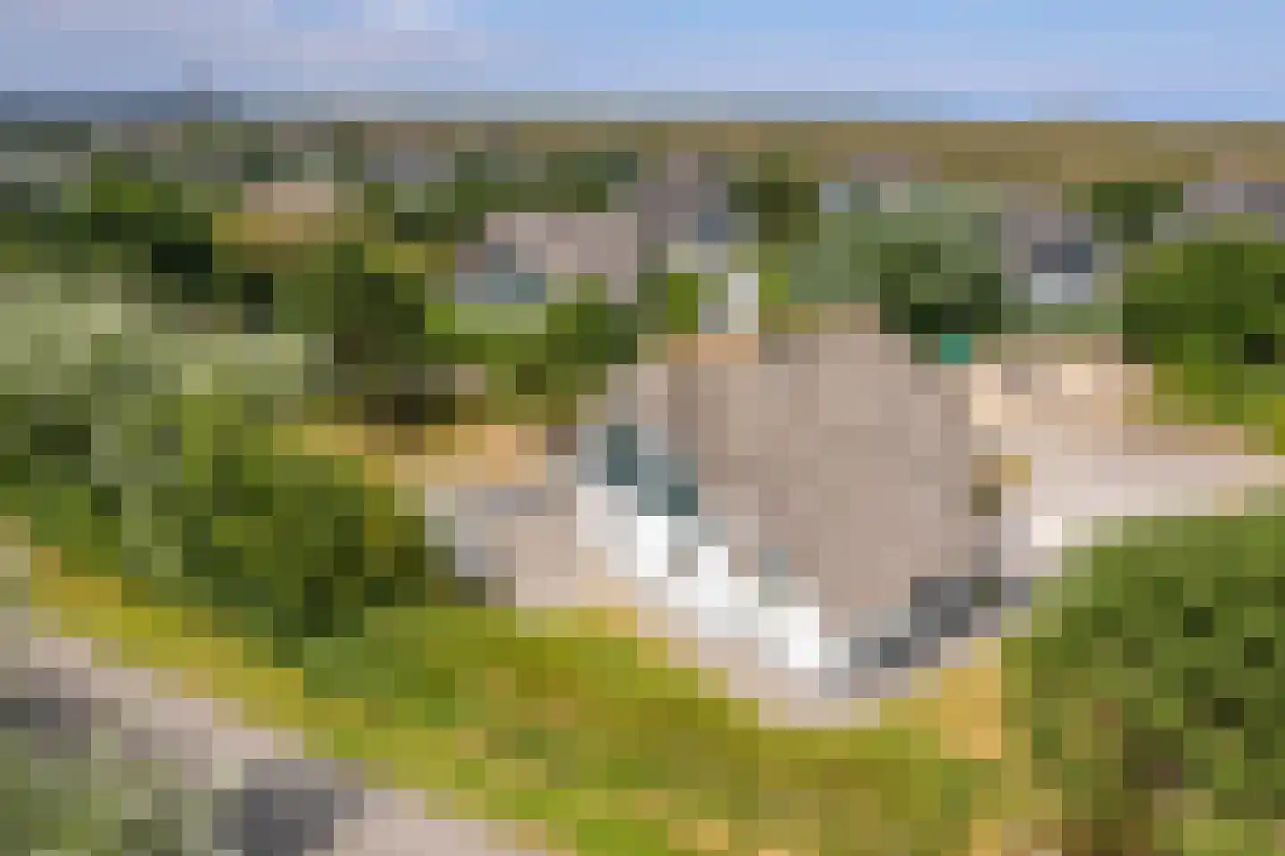 Bliekeduun 7 Hollum thumbnail 43