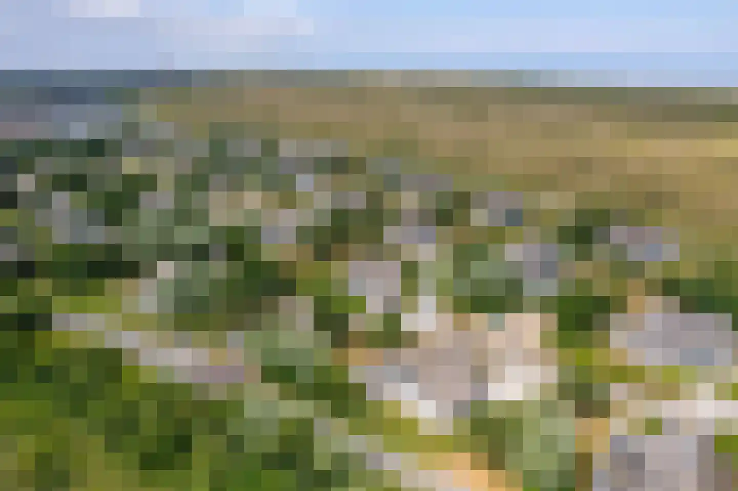 Bliekeduun 7 Hollum thumbnail 44