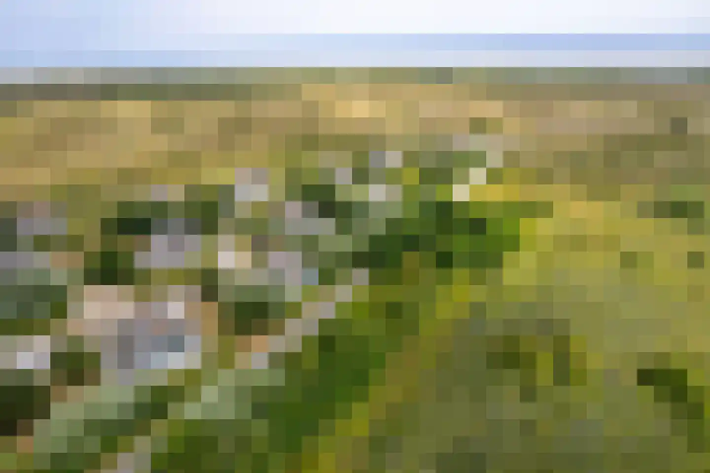 Bliekeduun 7 Hollum thumbnail 45
