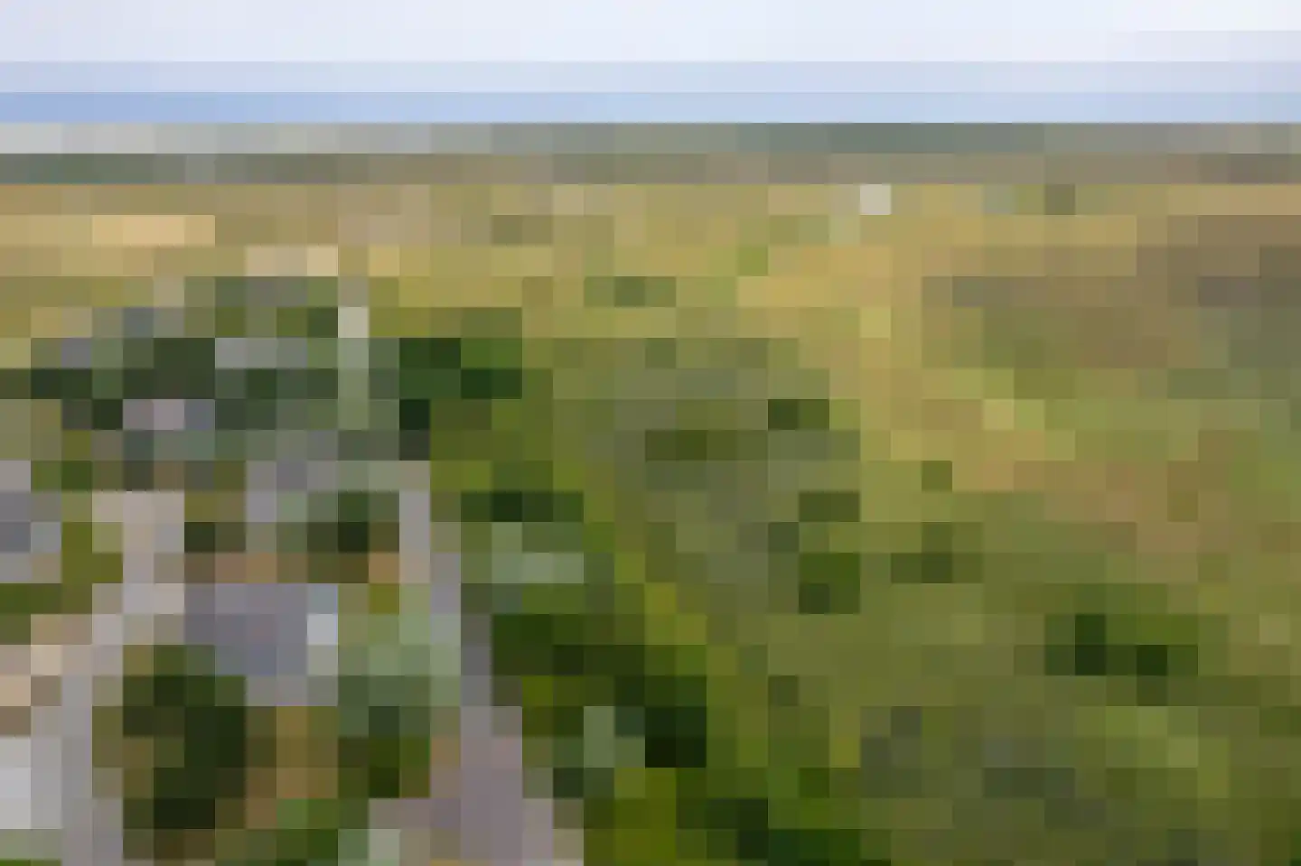 Bliekeduun 7 Hollum thumbnail 46