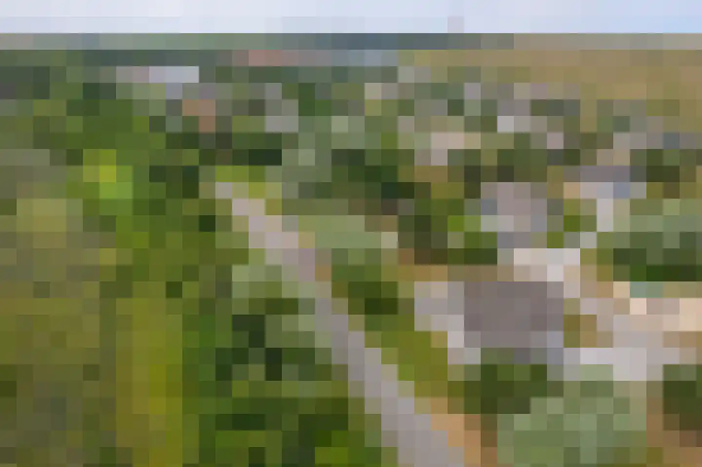 Bliekeduun 7 Hollum thumbnail 48