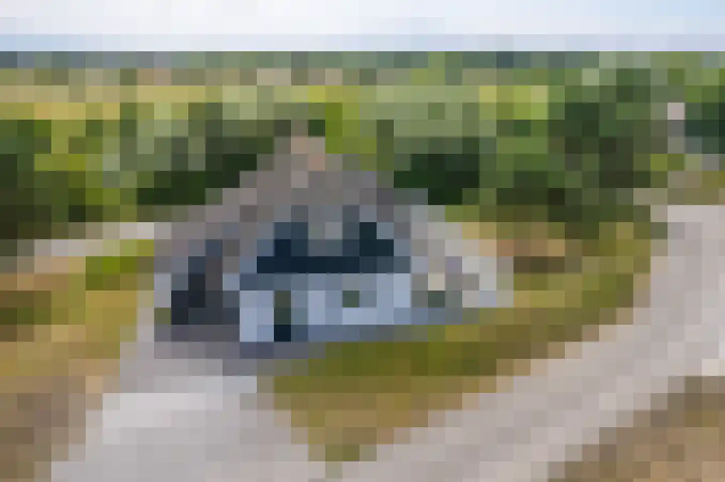 Bliekeduun 7 Hollum thumbnail 49