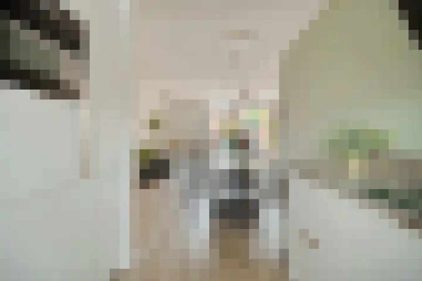 Blieksloot 13 Zoetermeer thumbnail 14
