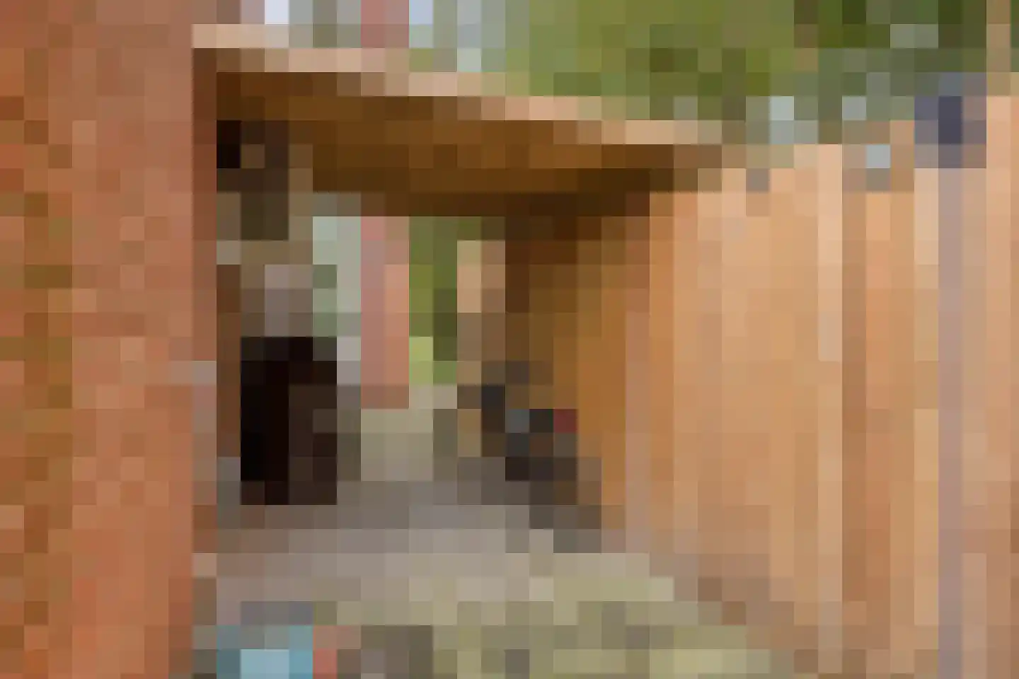 Blieksloot 13 Zoetermeer thumbnail 21