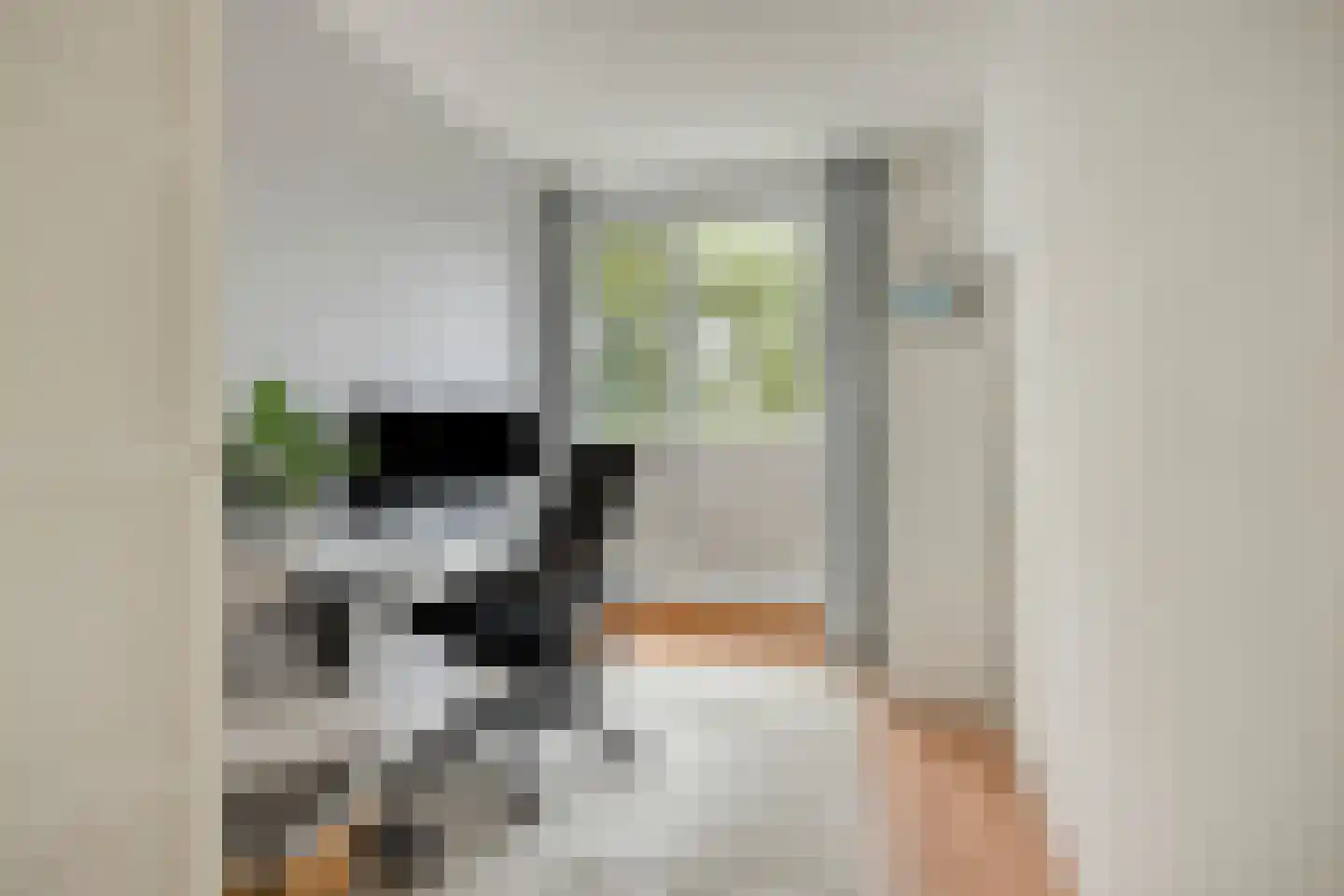 Blieksloot 13 Zoetermeer thumbnail 26