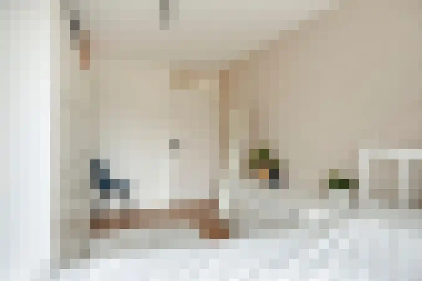 Blieksloot 13 Zoetermeer thumbnail 30