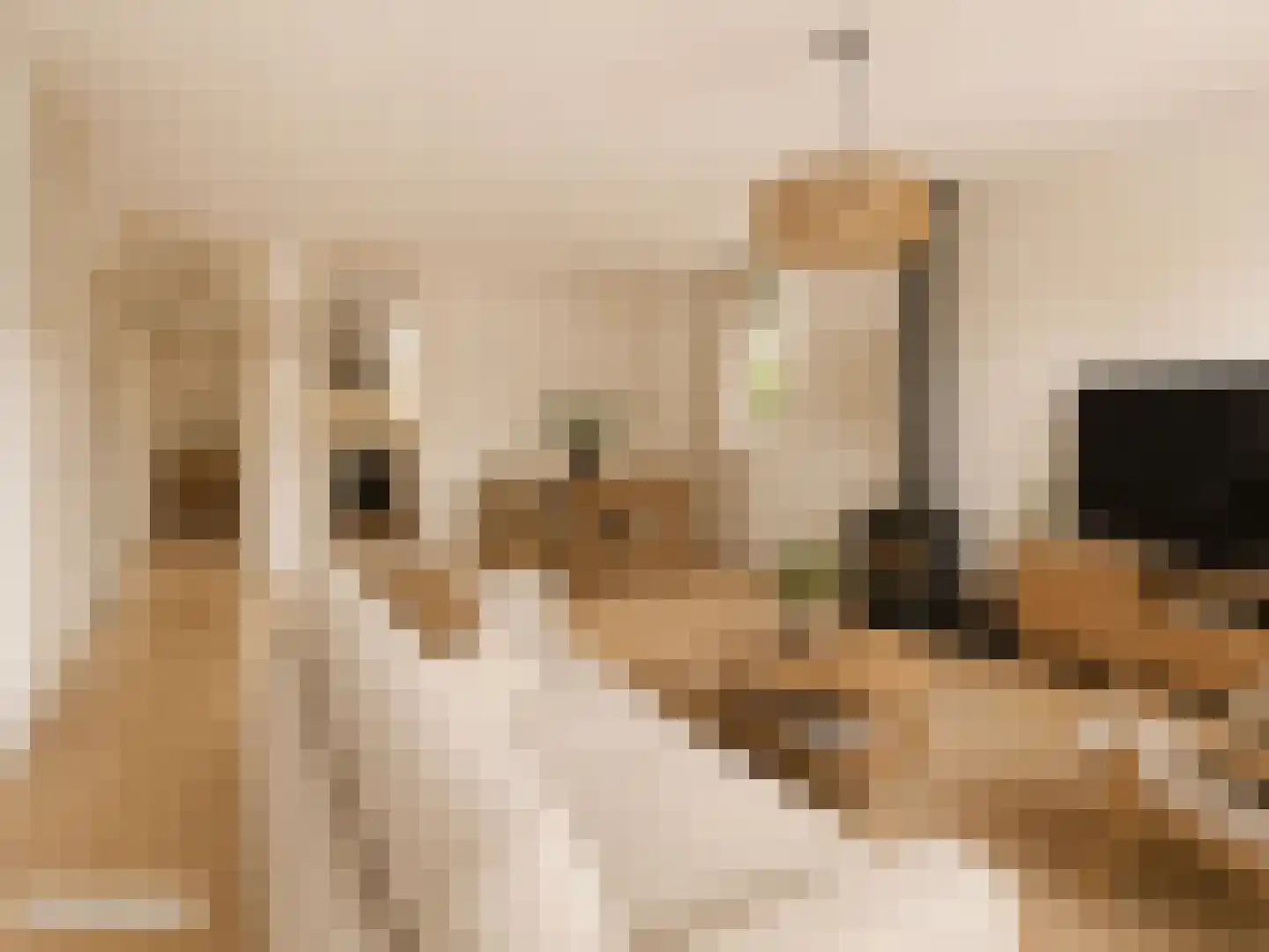 Blieksloot 48 Houten thumbnail 10