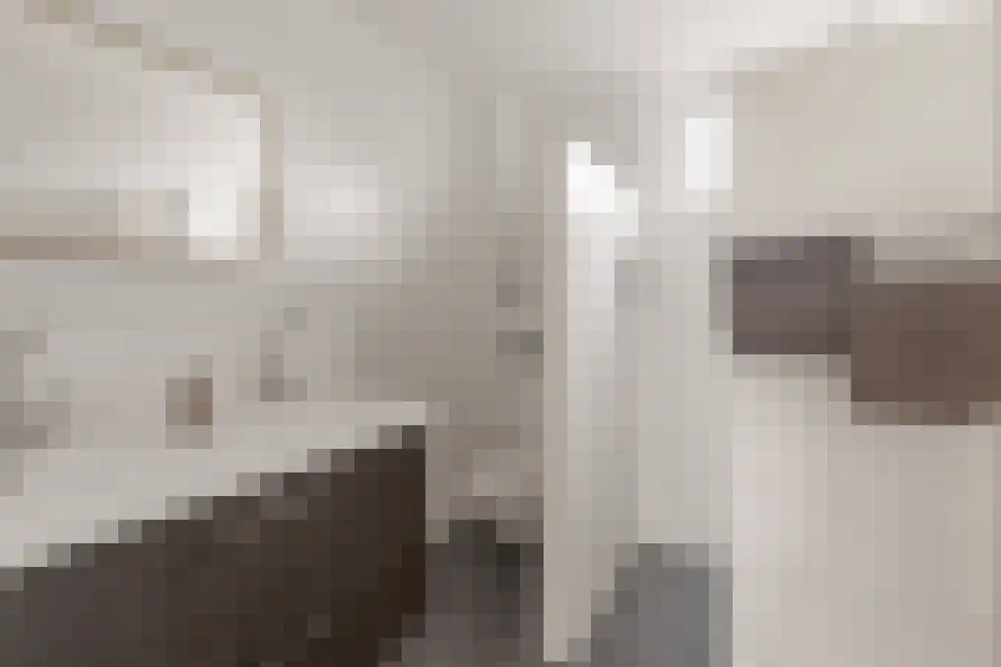 Blieksloot 48 Houten thumbnail 23