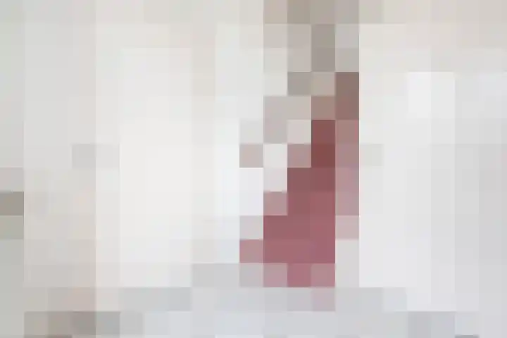 Blienkerd 5 Goedereede thumbnail 19