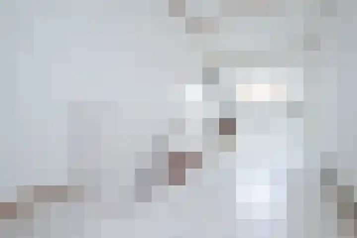 Blienkerd 5 Goedereede thumbnail 21