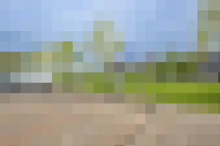 Blienkerd 5 Goedereede thumbnail 31