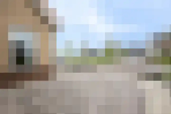 Blienkerd 5 Goedereede thumbnail 4