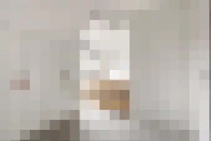 Blijdeburg 18 Nieuwegein thumbnail 21