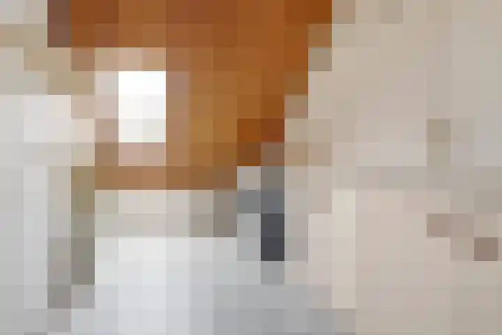 Blijdeburg 18 Nieuwegein thumbnail 29