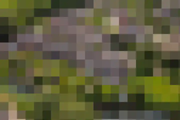 Blijdeburg 18 Nieuwegein thumbnail 53