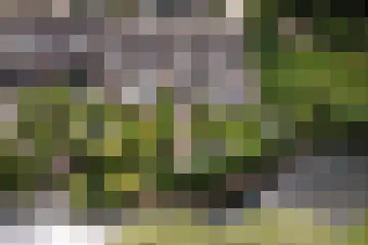 Blijdeburg 18 Nieuwegein thumbnail 54