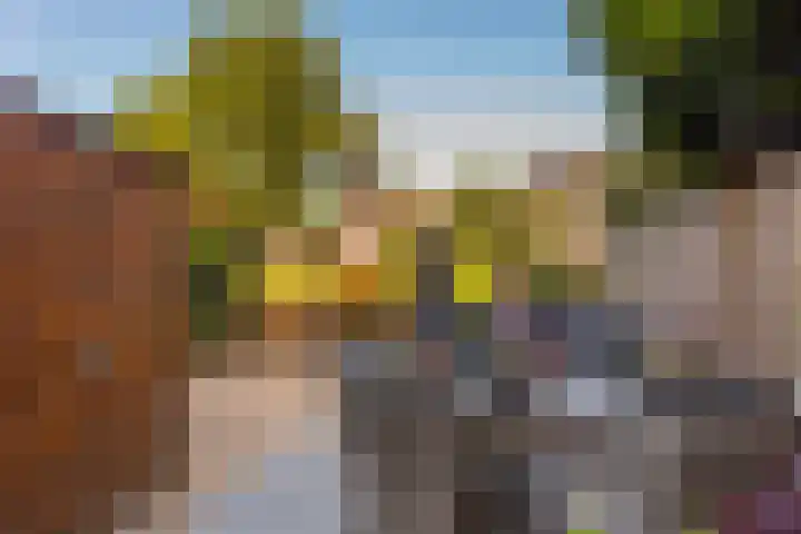Blijdeburg 23 Nieuwegein thumbnail 13