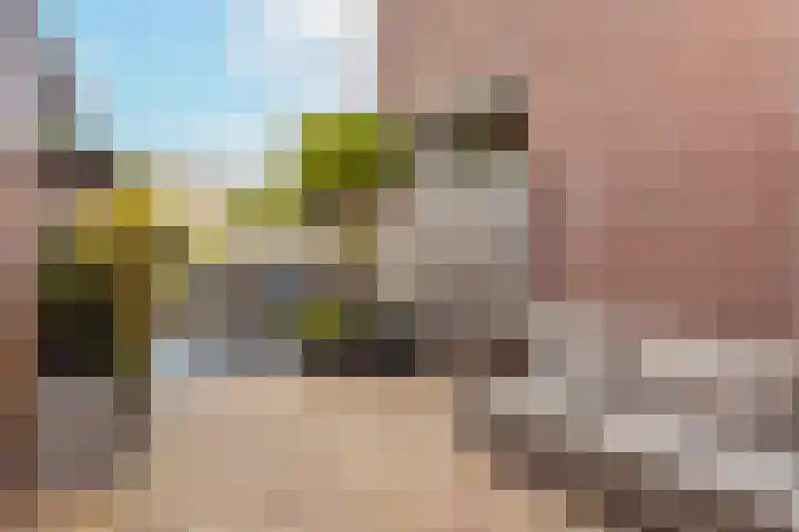 Blijdeburg 23 Nieuwegein thumbnail 16