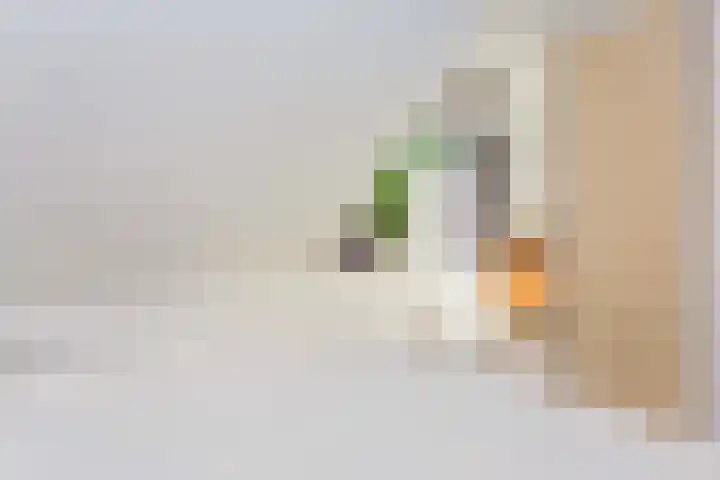 Blijdeburg 23 Nieuwegein thumbnail 27