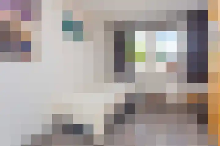 Blijdeburg 23 Nieuwegein thumbnail 30
