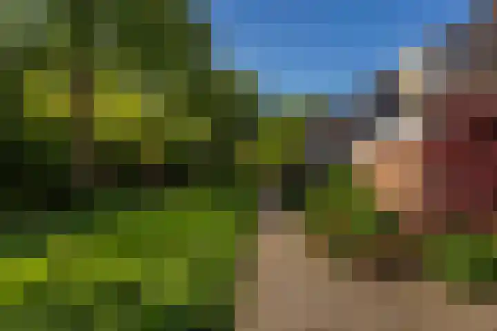 Blijdeburg 23 Nieuwegein thumbnail 43
