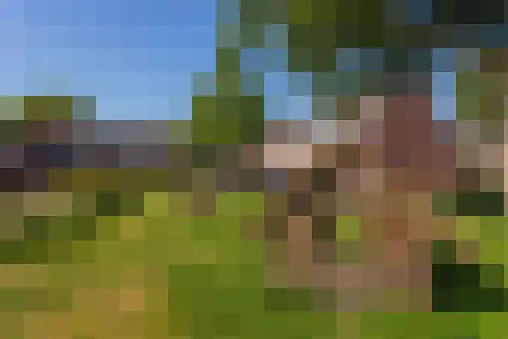 Blijdeburg 23 Nieuwegein thumbnail 44