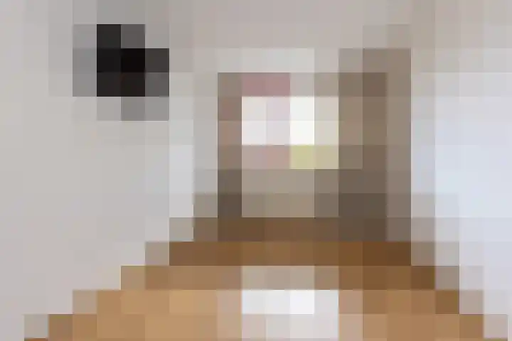 Blijdestein 24 Sittard thumbnail 13