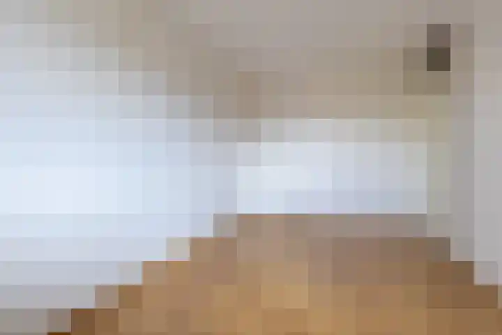 Blijdestein 24 Sittard thumbnail 14