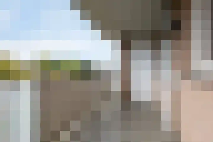 Blijdestein 24 Sittard thumbnail 22