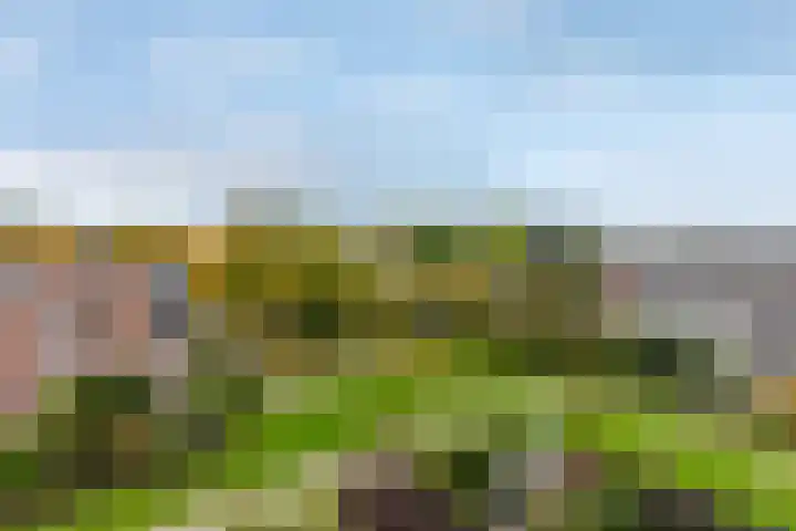 Blijdestein 24 Sittard thumbnail 23